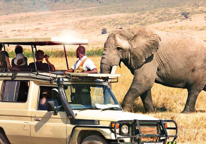 Zimbabwe Tourism Sector Recovery Visible